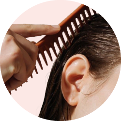 علاج القمل