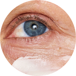 Anti-Aging Eye Creams