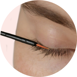Eyelash Serum