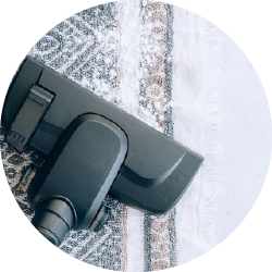Carpet Cleaning