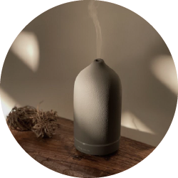 Room Air Fresheners