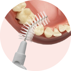 Interdental Brushes