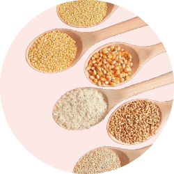 Rice and Grains