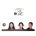 زيارة قلم الحواجب بريسايسلي ماي برو من بنفت - 05
